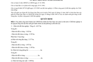 Quyết định 1198/QĐ-UB 1995 phân công quản lý đất lâm nghiệp Bảo Lộc Lâm Đồng