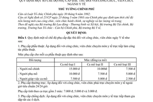 Quyết định 794-TTg quy định chế độ phụ cấp đặc thù công chức, viên chức ngành Y tế