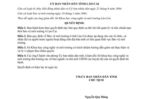 Quyết định 481/QĐ.UB năm 1995 tiêu chuẩn bảo vệ môi trường Lào Cai