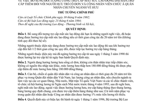 Quyết định 812-TTg bổ sung đối tượng hưởng trợ cấp mất sức lao động dài hạn, trợ cấp thêm người hưu trí cô đơn và công nhân viên chuyển ngành về hưu