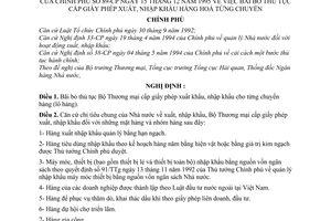 Nghị định 89-CP bãi bỏ thủ tục cấp giấy phép xuất, nhập khẩu hàng hoá từng chuyến