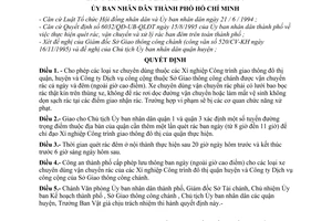 Quyết định 11/QĐ-UB-QLĐT cho phép phương tiện chuyên dùng vận chuyển rác ban ngày và ban đêm trên toàn thành phố