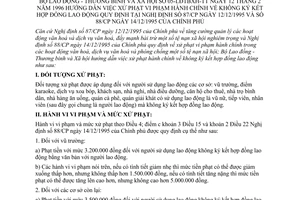 Thông tư 05-LĐTBXH-TT hướng dẫn xử phạt vi phạm hành chính không ký kết hợp đồng lao động hướng dẫn Nghị định 87/CP