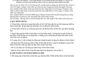 Thông tư 09/LĐTBXH-TT hướng dẫn cấp ghi sổ bảo hiểm xã hội