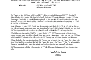 Công văn 3609/TM-XNK gia công sản phẩm gỗ xuất khẩu