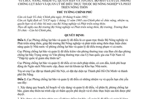 Quyết định 355-TTg chức năng, nhiệm vụ, quyền hạn tổ chức bộ máy Cục Phòng chống lụt bão quản lý đê điều thuộc Bộ Nông nghiệp phát triển nông thôn