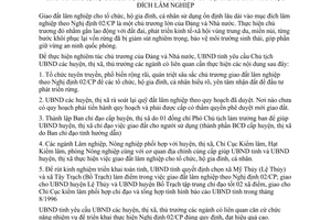 Chỉ thị 21/CT-UBND 1996 triển khai 02/CP giao đất lâm nghiệp cho tổ chức hộ gia đình cá nhân Quảng Bình