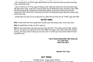 Quyết định 1286/QĐ-UB năm 1996 Quy trình phòng chữa cháy rừng tỉnh Đắk Lắk