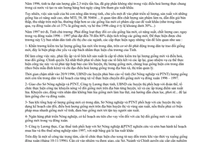 Chỉ thị 25/CT-UB 1996 chuyển đổi giống lúa có giá trị xuất khẩu vụ Đông Xuân 1996-1997 An Giang