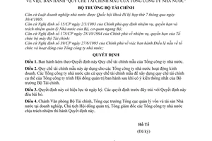 Quyết định 838-TC/QĐ/TCDN "Quy chế tài chính mẫu của Tổng công ty Nhà nước"