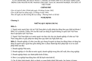 Nghị định 58-CP cấp giấy phép lao động cho người nước ngoài làm việc tại doanh nghiệp, tổ chức ở Việt Nam