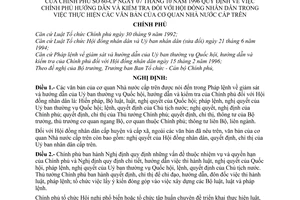 Nghị định 60-CP Chính phủ hướng dẫn và kiểm tra Hội đồng nhân dân trong việc thực hiện các văn bản của cơ quan Nhà nước cấp trên