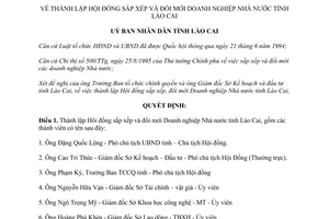 Quyết định 206/QĐ-UB năm 1996 thành lập hội đồng sắp xếp đổi mới doanh nghiệp Lào Cai