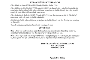 Quyết định 211/QĐ-UB 1996 tổ chức bộ máy Ban Ngoại vụ Biên giới Lào Cai