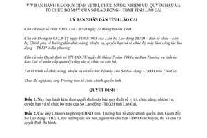 Quyết định 213/ QĐ-UB năm 1996 vị trí chức năng nhiệm vụ quyền hạn Sở Lao động