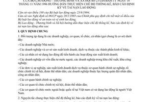 Thông tư 23/LĐTBXH-TT hướng dẫn chế độ thống kê báo cáo định kỳ tai nạn lao động