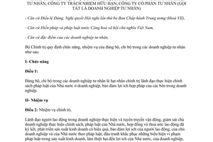 Quy định 16-QĐ/TW năm 1996 chức năng nhiệm vụ đảng bộ chi bộ trong doanh nghiệp tư nhân