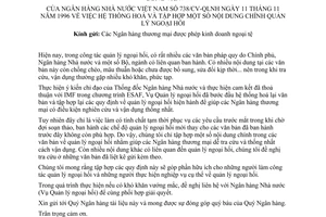 Công văn 738/CV-QLNH  hệ thống hoá và tập hợp hoá nội dung chính về quản lý ngoại hối