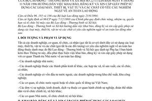 Thông tư 22/TT-LĐTBXH hướng dẫn khai báo, đăng ký xin cấp giấy phép sử dụng máy, thiết bị, vật tư chất có yêu cầu an toàn lao động