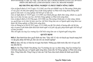 Quyết định 2375-NN-CBNLS/QĐ quy chế xét duyệt quy hoạch mạng lưới cấp giấy phép chế biến gỗ, lâm sản khác các doanh nghiệp