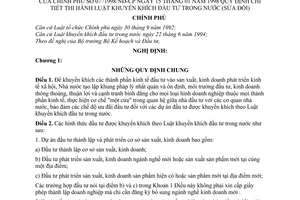 Nghị định 07/1998/NĐ-CP hướng dẫn thi hành Luật khuyến khích đầu tư trong nước (sửa đổi)