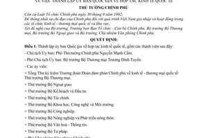 Quyết định 31/1998/QĐ-TTg thành lập Uỷ ban Quốc gia về hợp tác kinh tế quốc tế