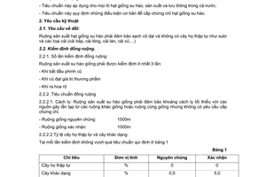 Tiêu chuẩn ngành 10 TCN 317:1998 về hạt giống su hào - Yêu cầu kỹ thuật Bộ Nông nghiệp và Phát triển nông thôn  ban hành