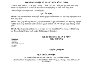 Quyết định 40/1998/QĐ-BNN/VP Quy chế làm việc của Bộ NN&PTNT