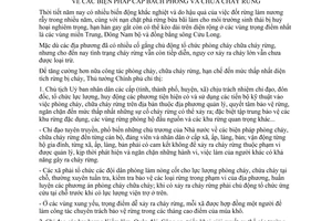 Chỉ thị 19/1998/CT-TTg biện pháp cấp bách phòng chữa cháy rừng