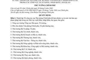 Quyết định 670/QĐ-TTg  thành lập Tổ công tác rà soát văn bản quy phạm pháp luật trong các lĩnh vực xuất khẩu, nhập khẩu, hải quan