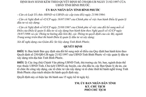 Quyết định 100/1998/QĐ-UB sửa đổi Quyết định 250/QĐ-UB quản lý đầu tư xây dựng