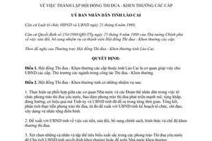 Quyết định 222/1998/QĐ-UB thành lập Hội đồng thi đua khen thưởng Lào Cai