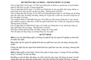 Quyết định 1012/1998/QĐ-BLĐTBXH  Bằng nghề và Chứng chỉ nghề