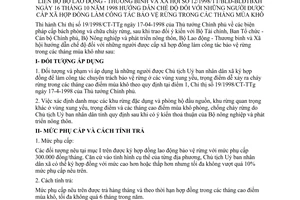 Thông tư 12/1998/TT-LĐTBXH chế độ người được cấp xã hợp đồng làm công tác bảo vệ rừng tháng mùa khô