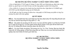 Quyết định 175/1998/QĐ-BNN-KHCN  Quy phạm phục hồi rừng bằng khoanh nuôi