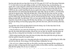 Chỉ thị 50/1998/CT-UB thực hiện 287/TTg ngăn chặn phá đốt rừng khai thác rừng trái phép Lâm Đồng