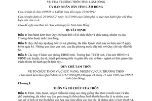 Quyết định 3152/1998/QĐ-UB Quy chế tạm thời tổ chức thôn chức năng nhiệm vụ Trưởng thôn Lâm Đồng