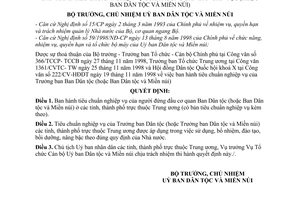 Quyết định 162/1998/QĐ-UBDTMN tiêu chuẩn nghiệp vụ người đứng đầu cơ quan Ban Dân tộc (hoặc Ban Dân tộc và Miền núi)