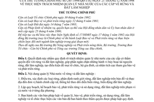 Quyết định 245/1998/QĐ-TTg thực hiện trách nhiệm quản lý Nhà nước của các cấp về rừng đất lâm nghiệp