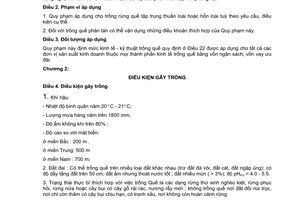 Tiêu chuẩn ngành 04 TCN 23:2000 về quy phạm kỹ thuật trồng quế do Bộ Nông nghiệp và Phát triển nông thôn ban hành