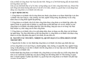 Hướng dẫn 104/TLĐ tổ chức hoạt động công đoàn cơ sở thành viên