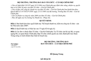 Quyết định 18/2000/QĐ-BTCCBCP Kế hoạch thanh tra, kiểm tra công tác tổ chức-cán bộ Nhà nước năm 2000