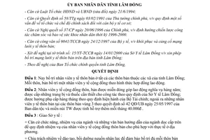 Quyết định 40/2000/QĐ-UB bố trí mạng lưới y tế thôn bản Lâm Đồng
