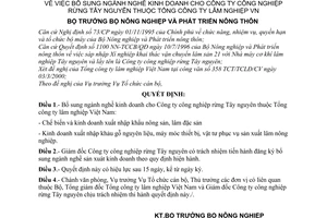 Quyết định 24/2000/QĐ-BNN-TCCB bổ sung ngành nghề kinh doanh cho Công ty công nghiệp rừng Tây nguyên thuộc Tổng công ty lâm nghiệp VN