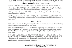 Quyết định 273/QĐ-UB 2000 quản lý cho vay vốn đầu tư xây dựng lưới điện nông thôn Tuyên Quang