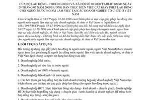 Thông tư 08/2000/TT-BLĐTBXH hướng dẫn cấp giấy phép lao động cho người nước ngoài làm việc tại các doanh nghiệp, tổ chức ở Việt Nam