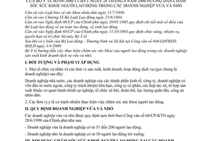 Thông tư 09/2000/TT-BYT hướng dẫn chăm sóc sức khoẻ người lao động trong các doanh nghiệp vừa và nhỏ