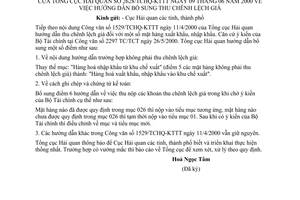 Công văn 2628/TCHQ-KTTT hướng dẫn bổ sung thu chênh lệch giá