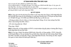 Quyết định 588/2000/QĐ-UB giao chỉ tiêu tiêu thụ gỗ tự nhiên gỗ vườn rừng năm 2000