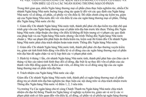 Chỉ thị 04/2000/CT-NHNN5 chấn chỉnh công tác kiểm tra cổ đông, cổ phần, cổ phiếu và vốn điều lệ ngân hàng thương mại cổ phần